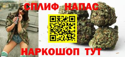 стаф Тверь