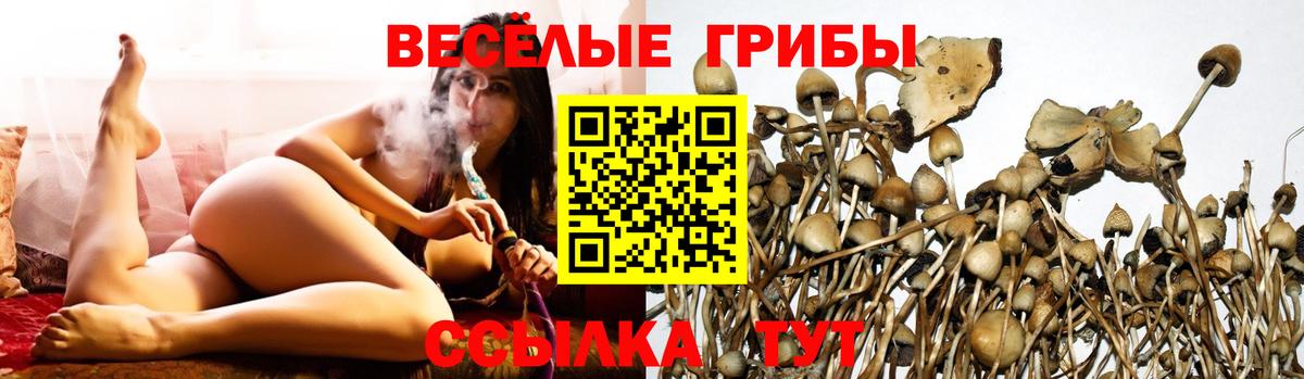 Галлюциногенные грибы Magic Shrooms  Вход с VPN  Новый Уренгой 